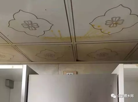 气愤！宜宾一业主家天花板滴油，工人拆开竟发现...-3.png