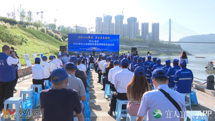 共建生态首城！宜宾400余尾稀有鱼放流长江-1.png
