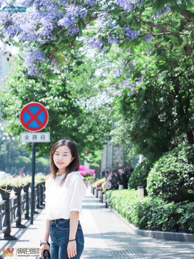 震憾！宜宾超美蓝花楹大道来了！还有这些地方……-33.jpeg