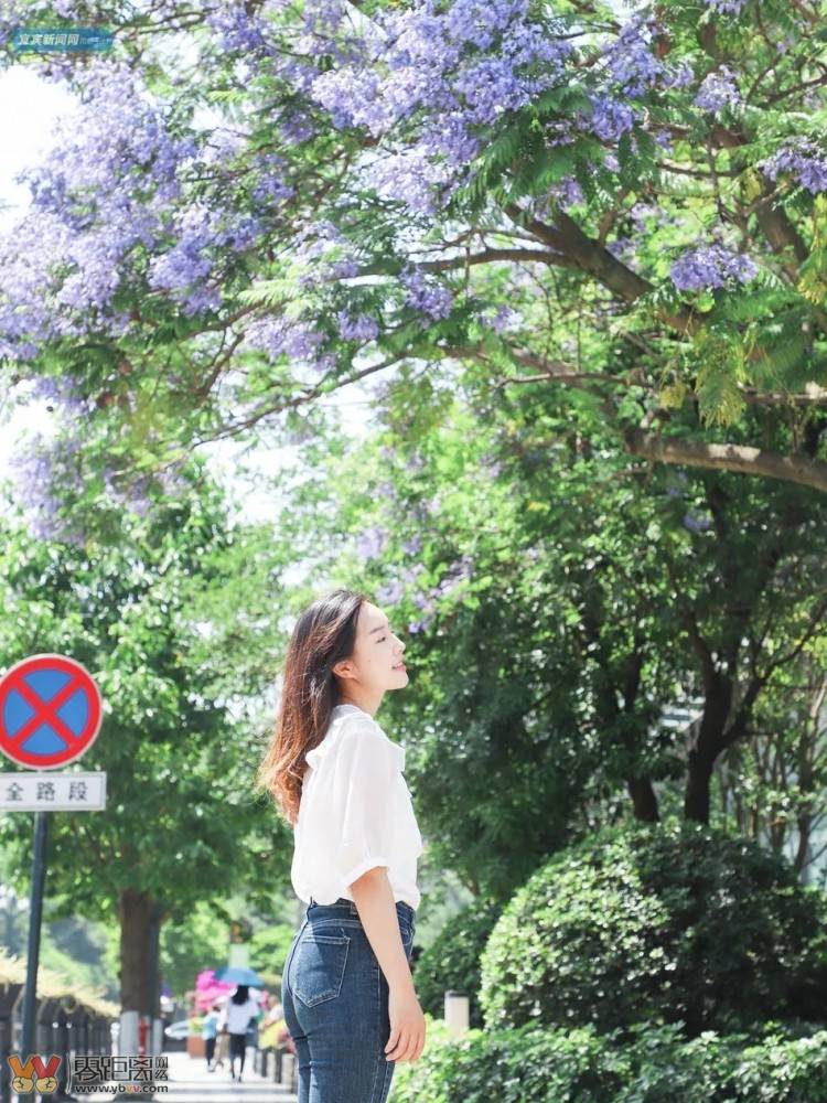 震憾！宜宾超美蓝花楹大道来了！还有这些地方……-35.jpeg