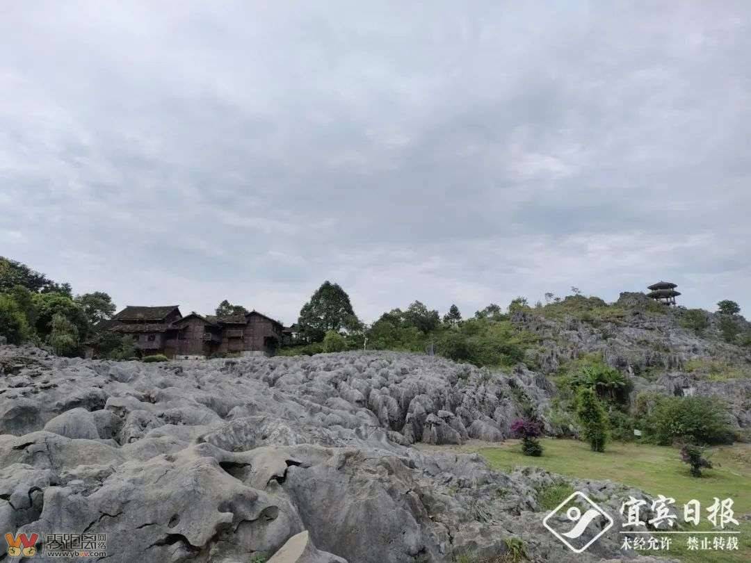500万元文旅消费券＋门票免费＋一大波活动……宜宾“放大招”啦！-2.jpg