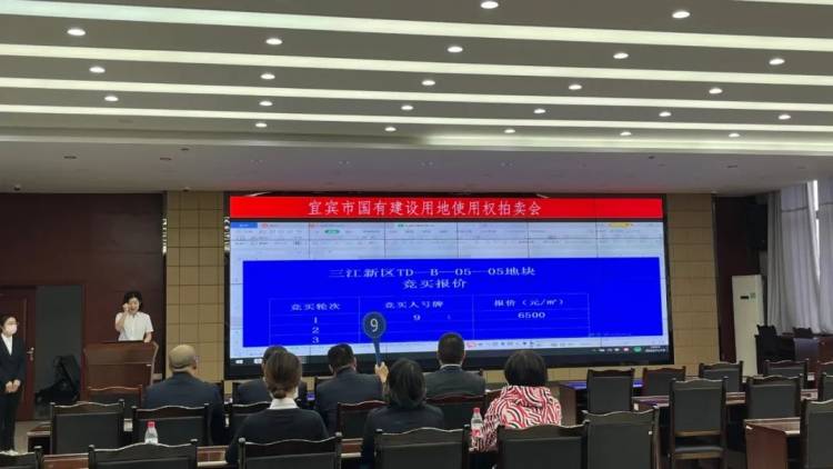 6.52亿！三江新区今年首拍，临港丽雅斩获150亩优质土地…-1.jpeg