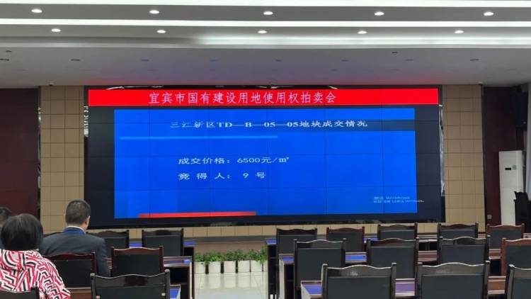 6.52亿！三江新区今年首拍，临港丽雅斩获150亩优质土地…-2.jpeg