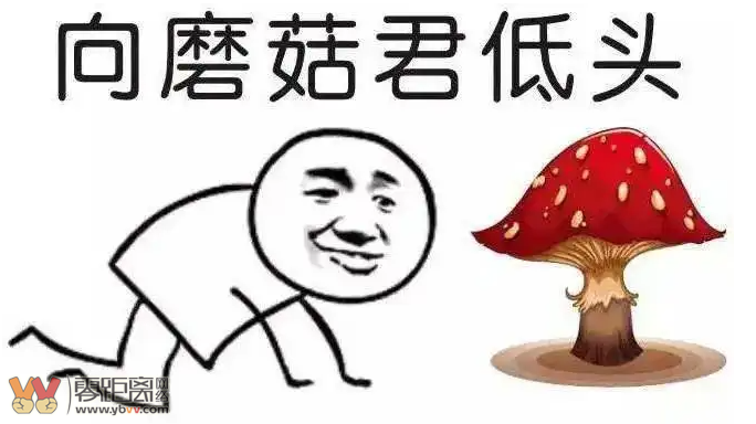 四川首例！致命鹅膏！男子后山采白蘑菇中毒致肝衰竭……-22.png