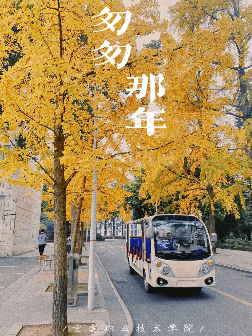 定了！宜宾职业技术学院明年正式搬迁！-1.jpg