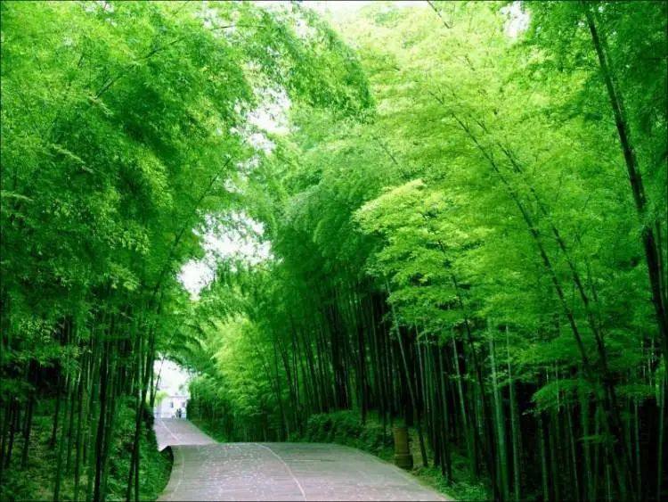 祝贺！宜宾迈入全国II型大城市行列！-6.jpg