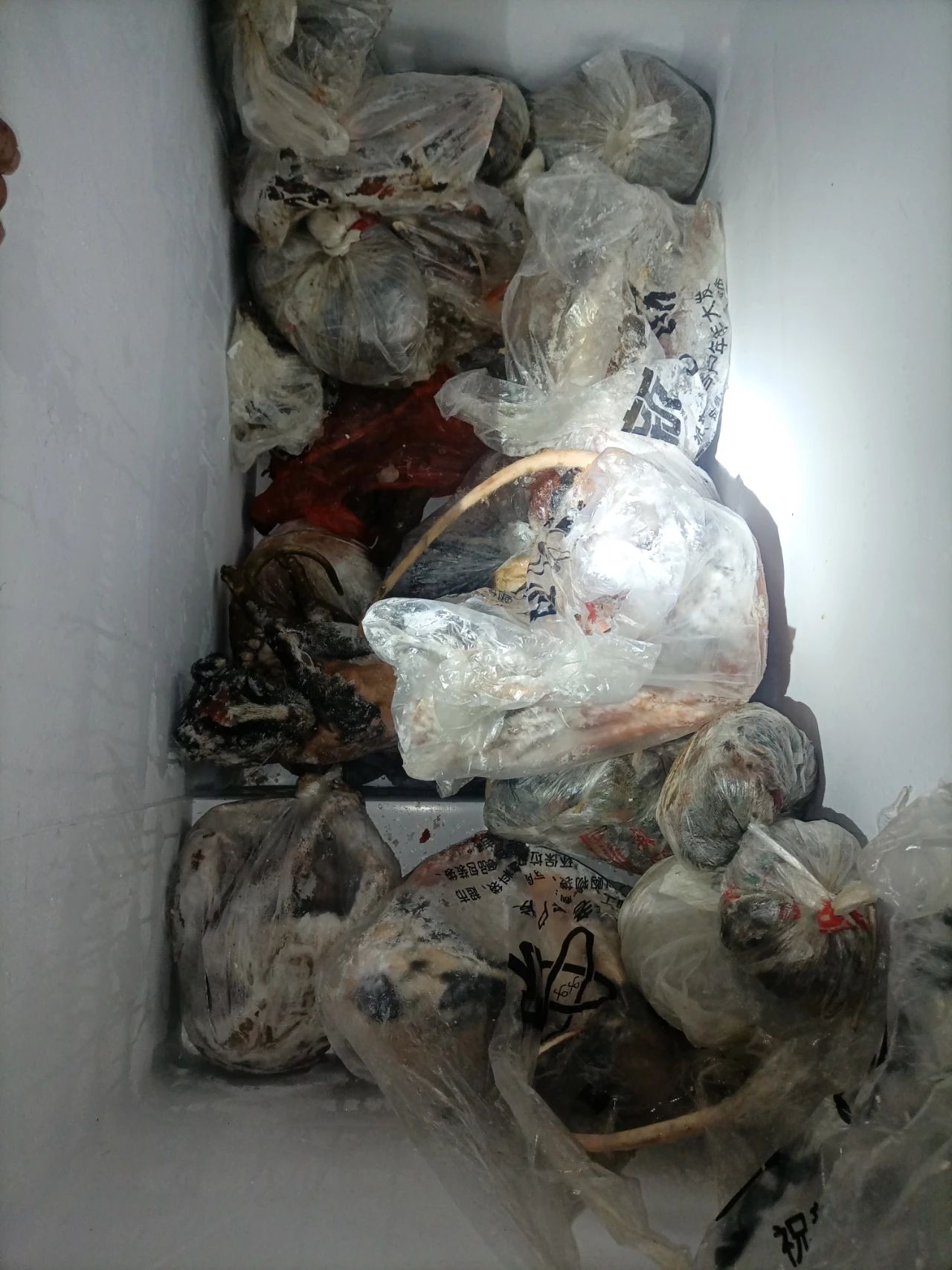 宜宾一男子家中搜出大量野生动物死体！-1.jpg