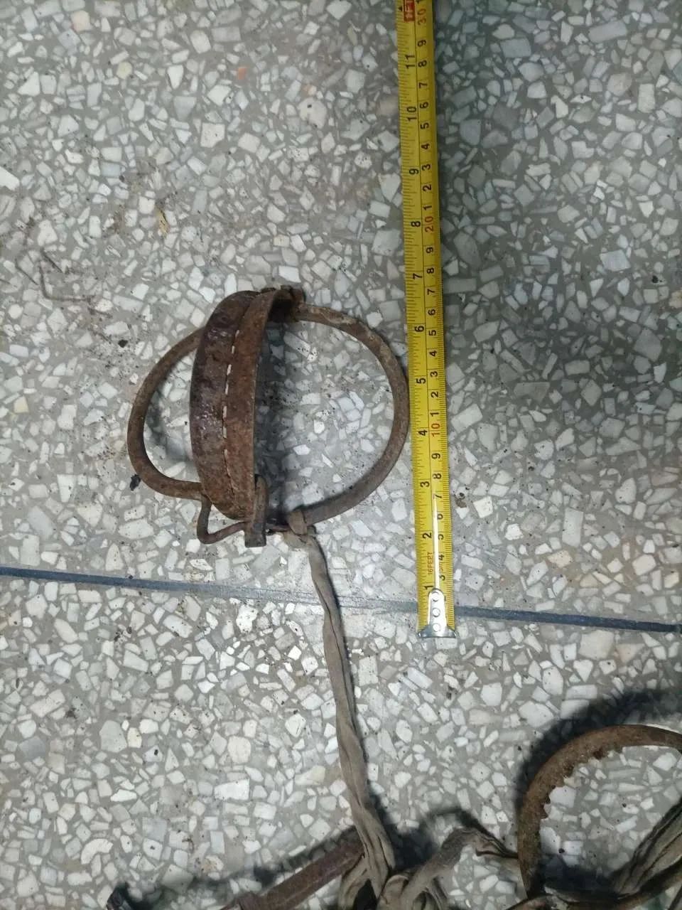 宜宾一男子家中搜出大量野生动物死体！-5.jpg