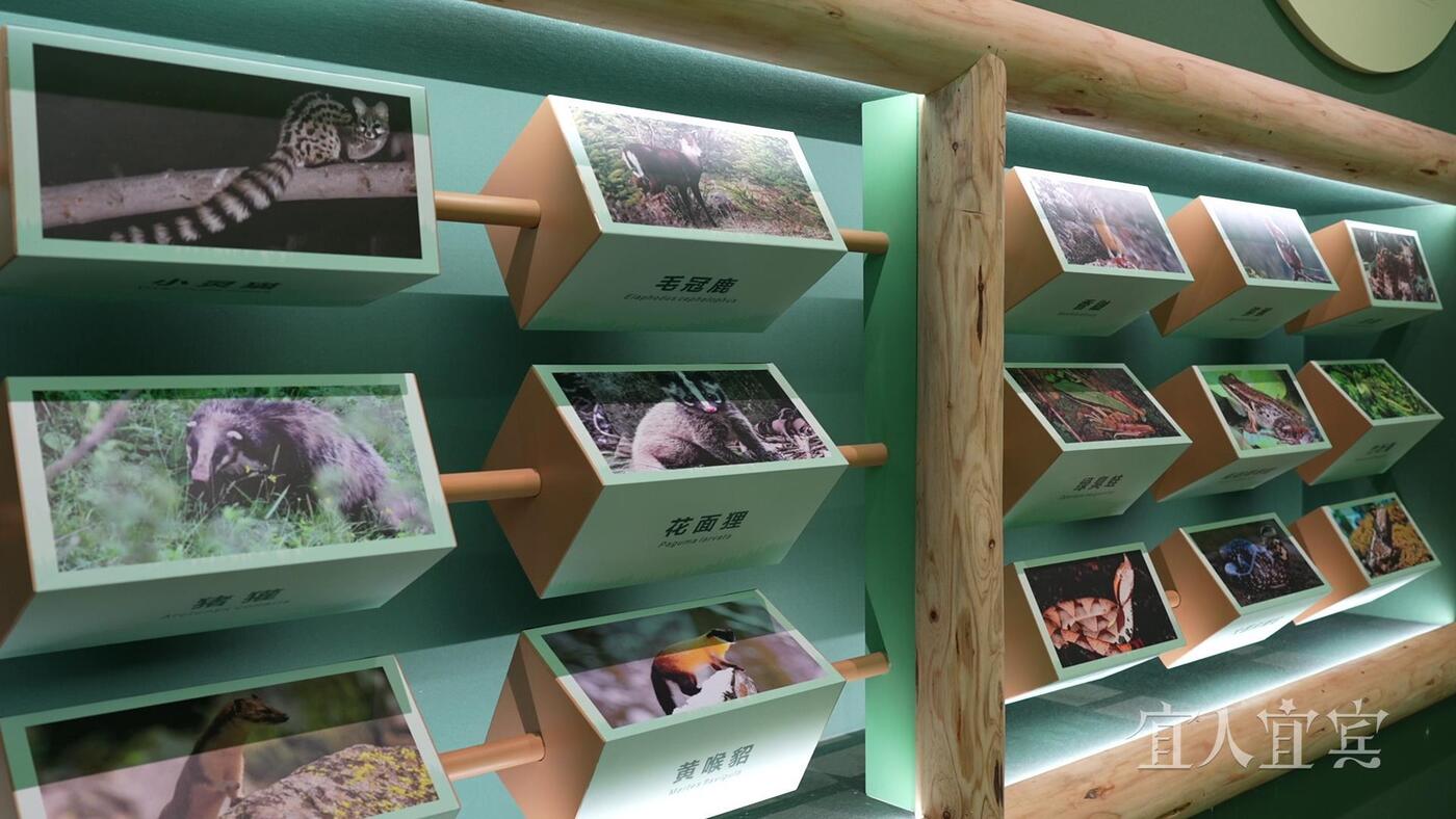 川南首个！宜宾这个自然主题宣教展馆项目全面完工！-4.jpg