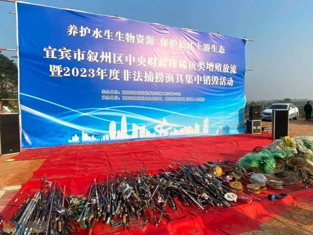 放流89万尾！销毁906件！宜宾持续保护长江上游生态-1.jpeg
