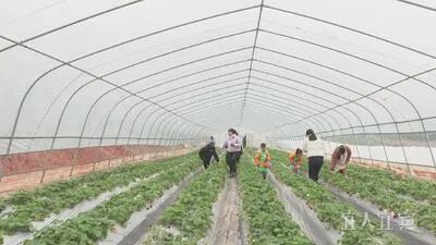 设计时速80km/h！宜宾这条公路试通车！-2.jpg