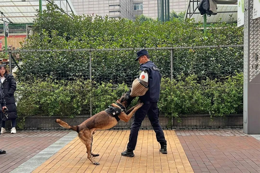 【110警察节】 叙州公安这场活动热闹非凡！-8.jpg