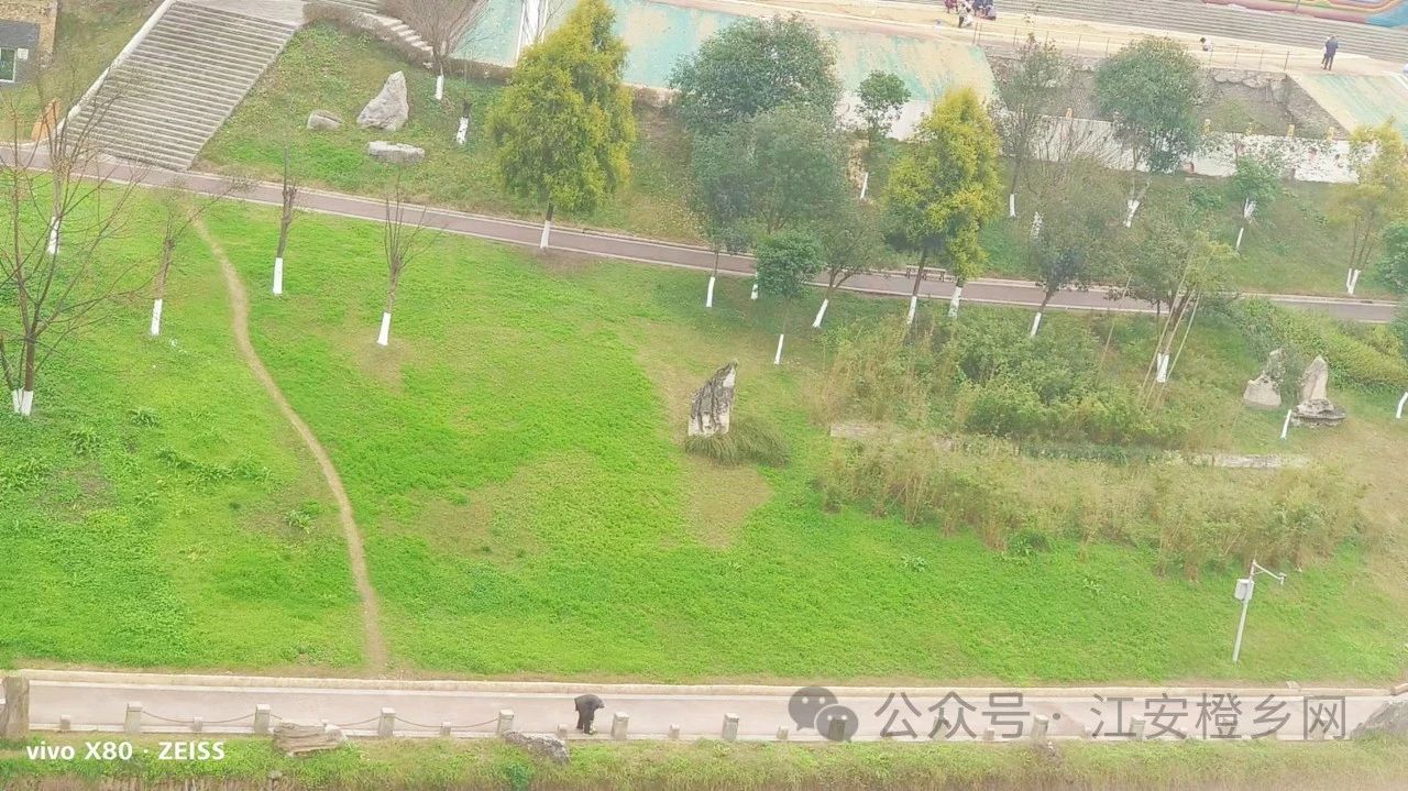 宜宾男子河边偷铁链，一分钟一根惊呆路人！-1.jpg