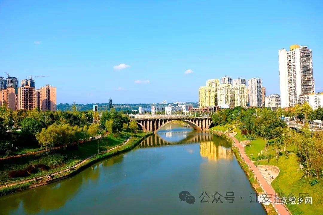 宜宾男子河边偷铁链，一分钟一根惊呆路人！-2.jpg
