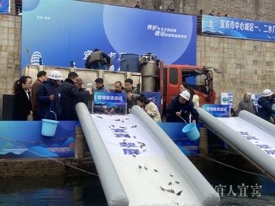 放鱼了！49.47万尾珍稀鱼类游进长江！-2.jpg