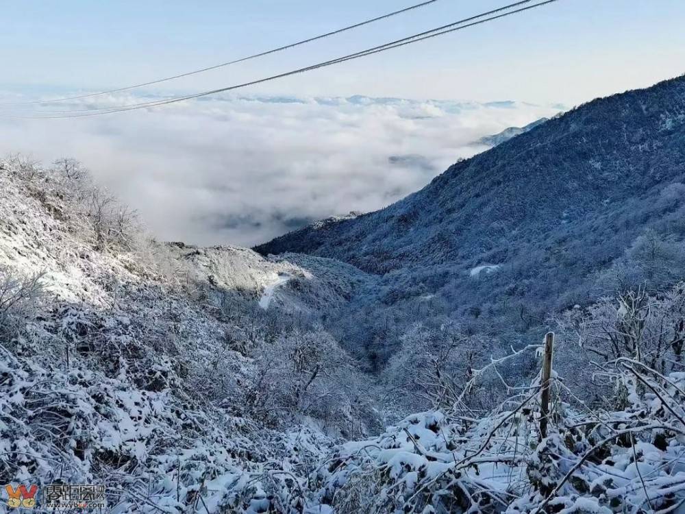 宜宾要下雪？强降温黄色预警！最低1℃！-4.jpeg