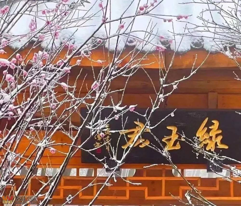 蜀南竹海观雪安全须知！安全赏雪游览路线.....-1.jpeg