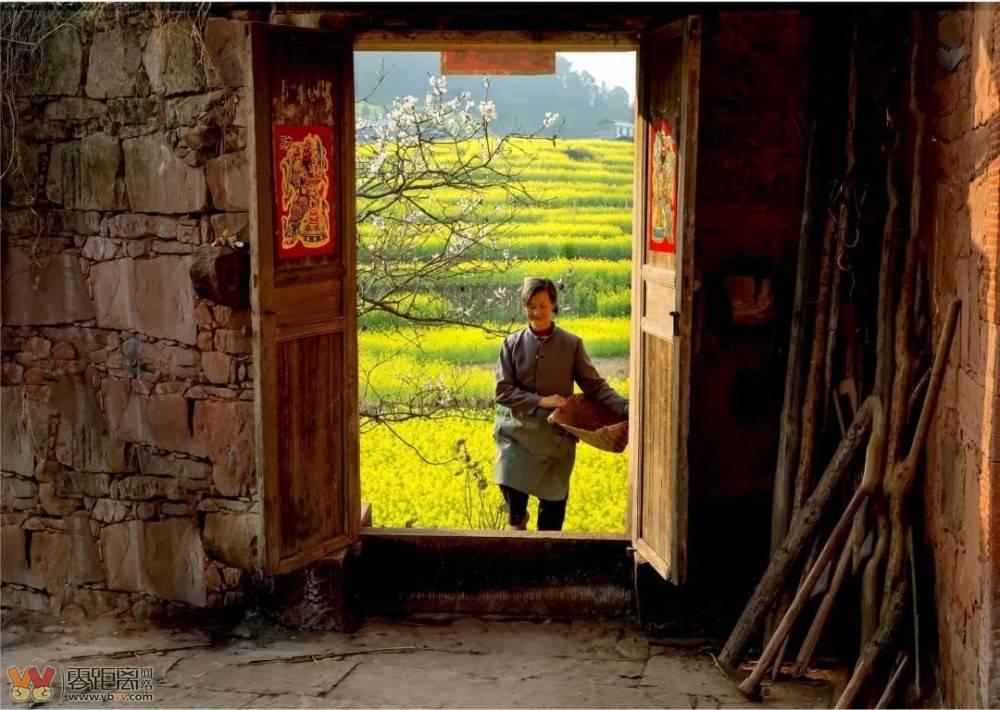 和美乡村行丨屏山第七届中都油菜花旅游文化节活动倒计时5天！-5.jpeg