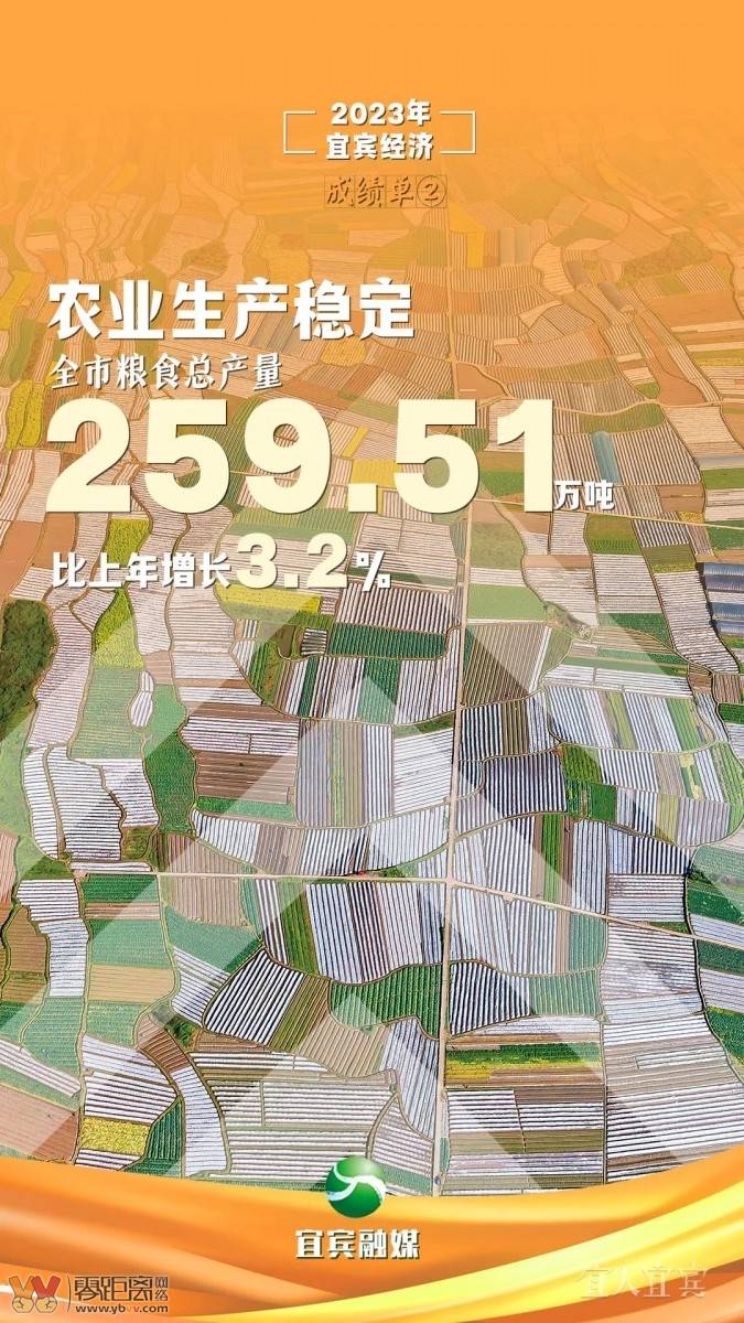 十张海报 “数”览宜宾2023“成绩单”-2.jpeg