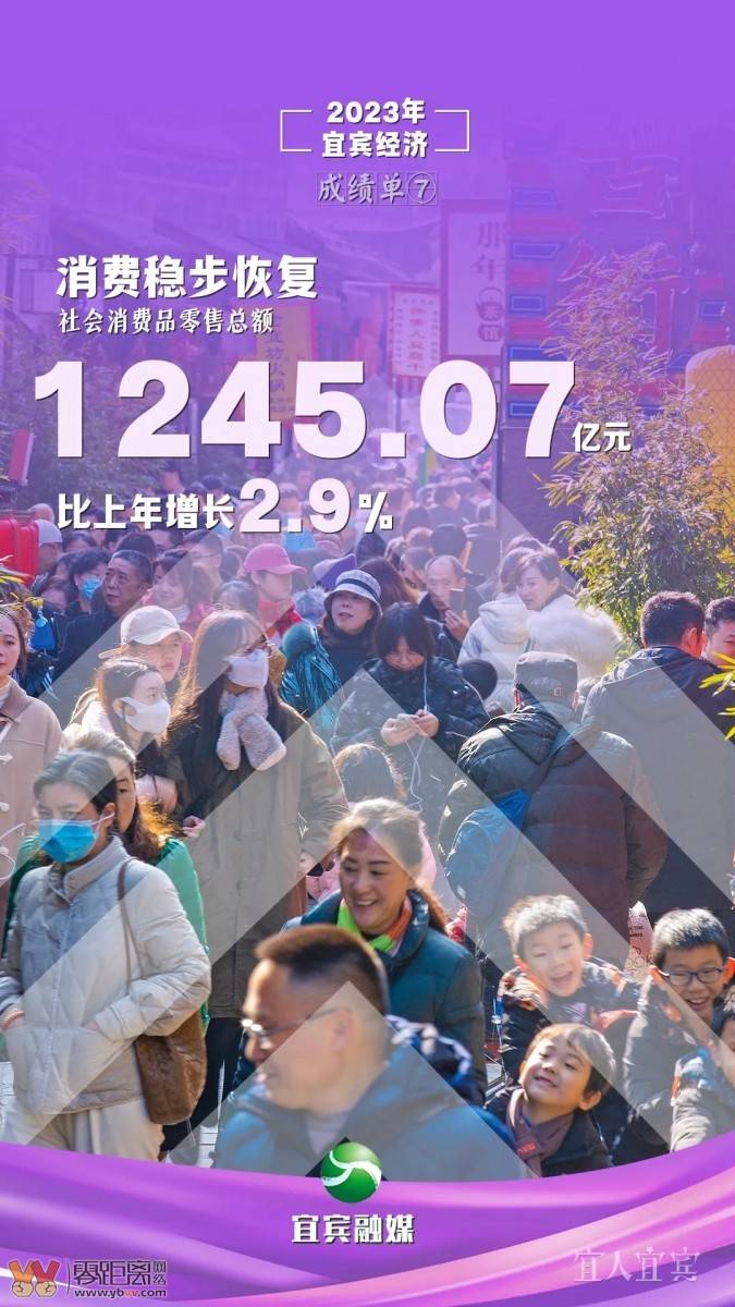 十张海报 “数”览宜宾2023“成绩单”-7.jpeg