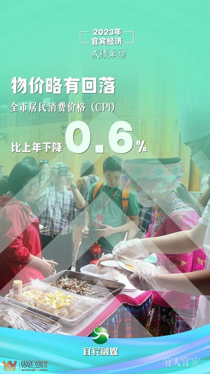十张海报 “数”览宜宾2023“成绩单”-10.jpeg