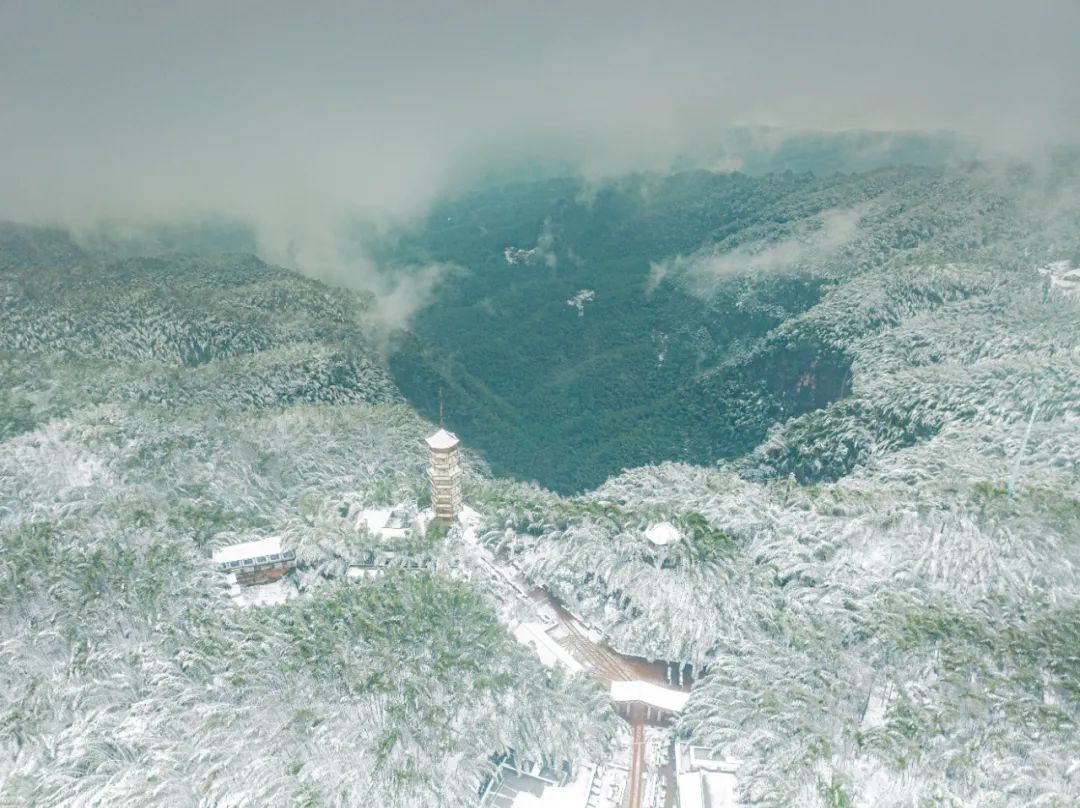 宜宾冷至-3度，气温还要降！-3.jpg