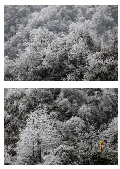 宜宾冷至-3度，气温还要降！-9.png