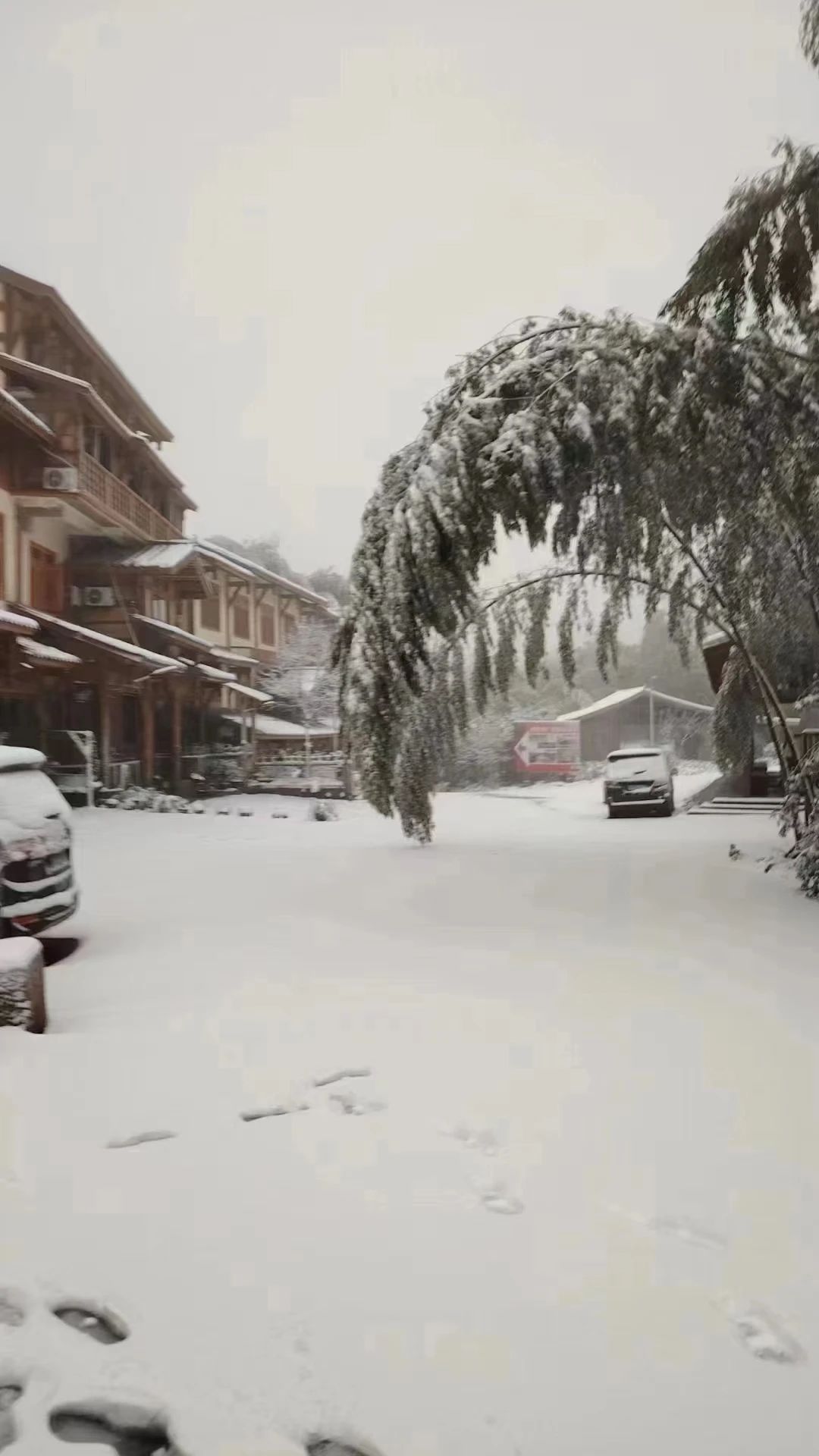 宜宾这些道路交通管制！出行一定要注意.....-1.jpg