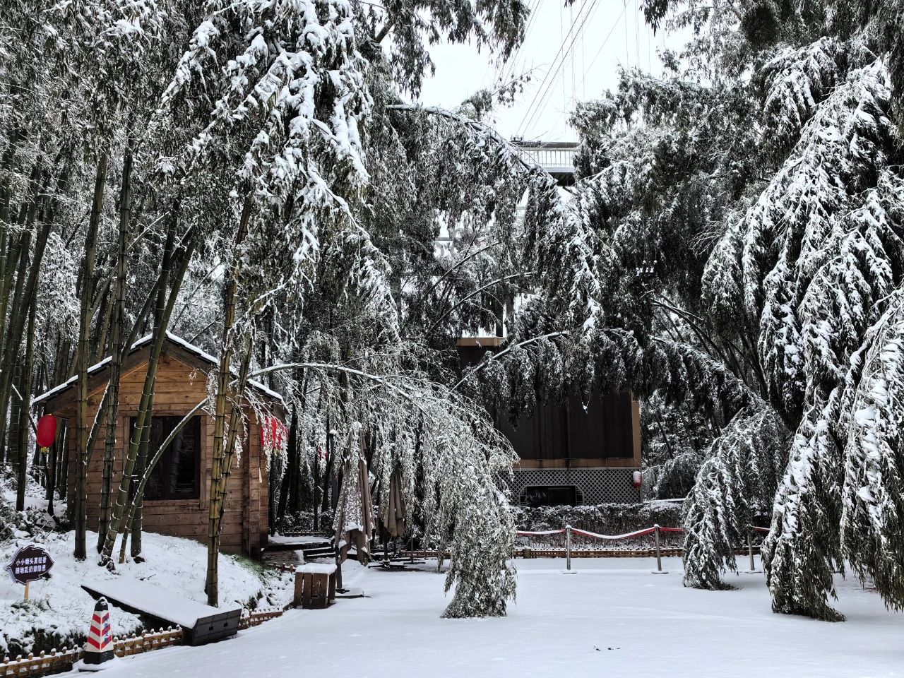 正在下！绝对不能错过的蜀南竹海初雪！-6.jpg