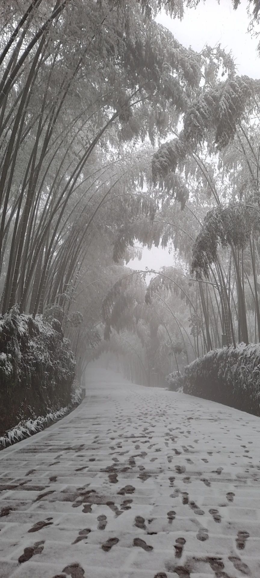 正在下！绝对不能错过的蜀南竹海初雪！-13.jpg