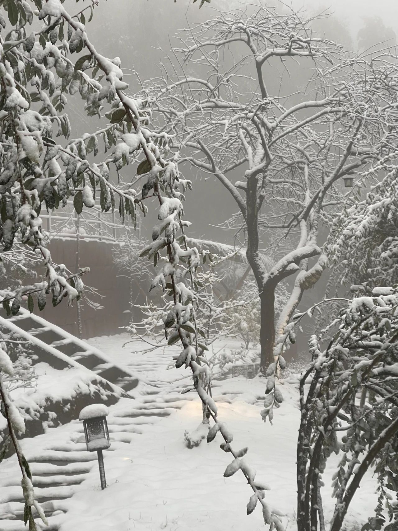 正在下！绝对不能错过的蜀南竹海初雪！-11.jpg