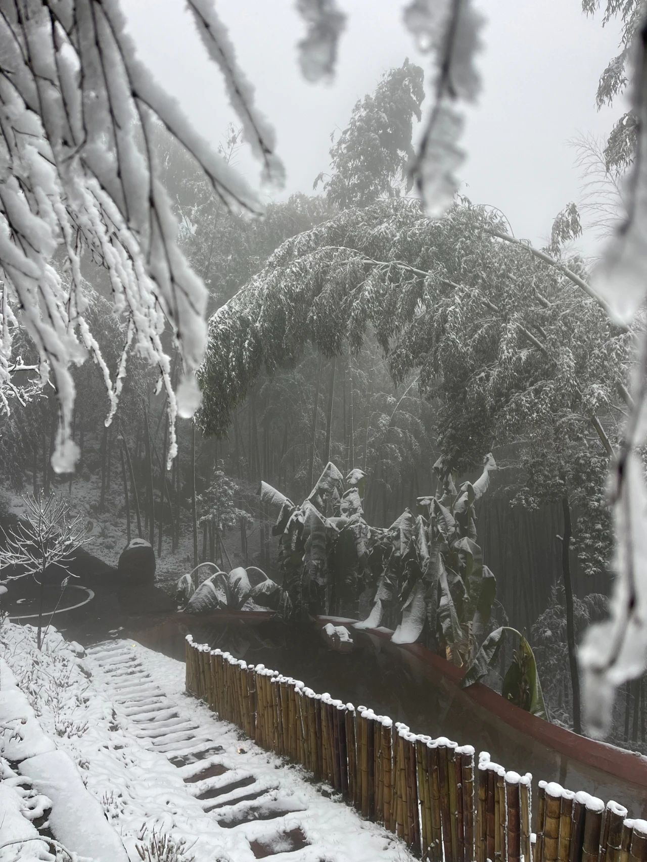 正在下！绝对不能错过的蜀南竹海初雪！-10.jpg