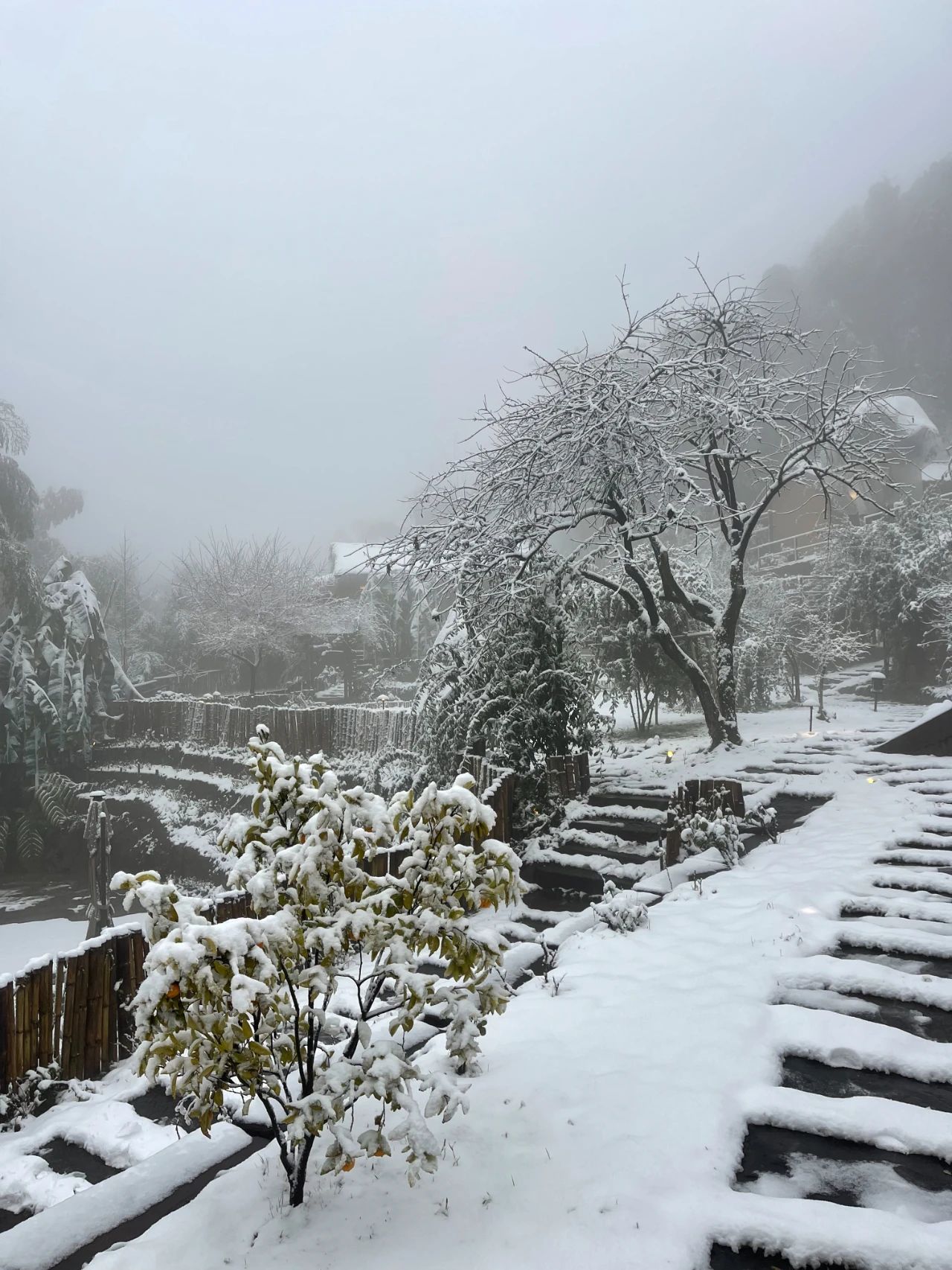 正在下！绝对不能错过的蜀南竹海初雪！-12.jpg