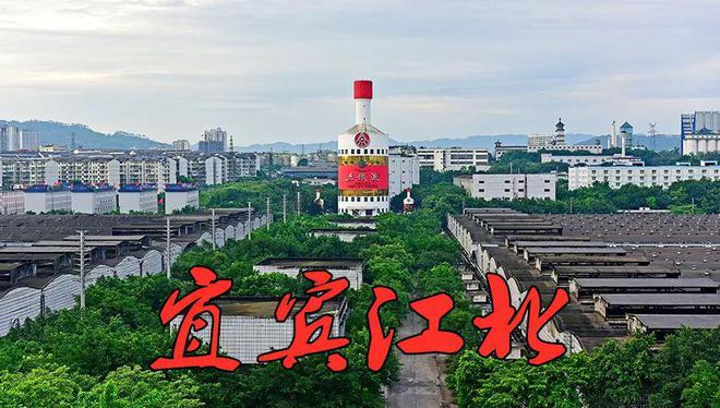 新的流量密码？公开全球征集！宜宾这片区域，又要开始大干了……-18.jpg