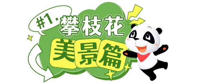 预计明年通车！宜攀高速有新进展→-12.jpg