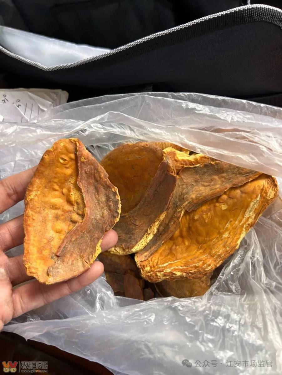 非法经营野生保护动物制品，宜宾一店铺被查-2.jpeg