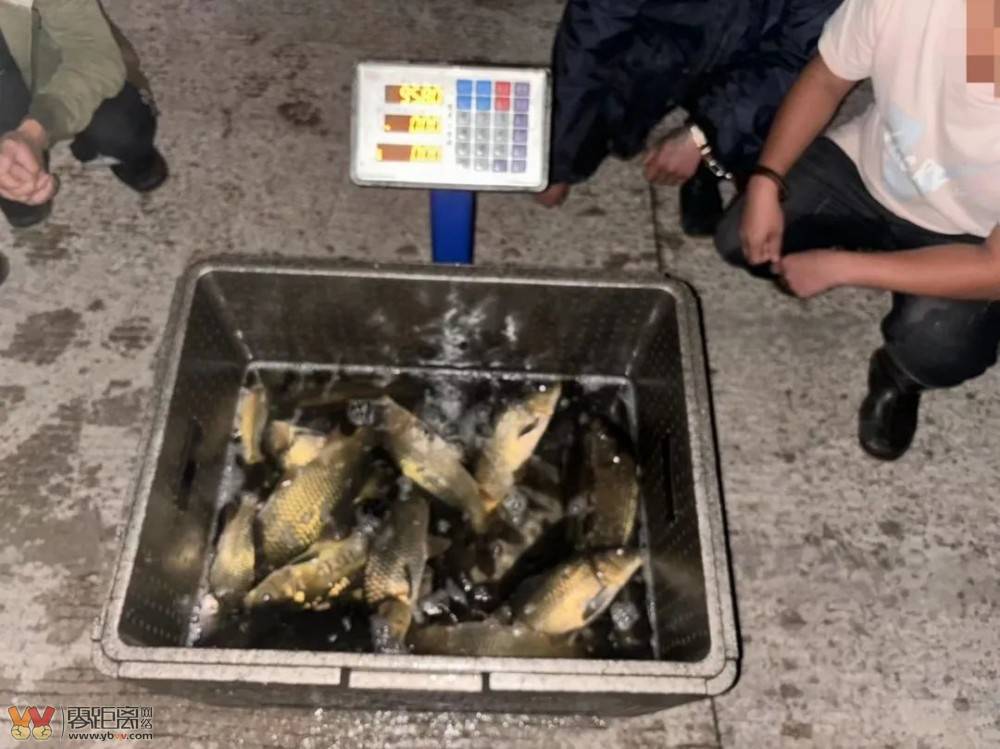 宜宾4男子深夜鱼塘偷钓！现已被行政拘留！-1.jpeg
