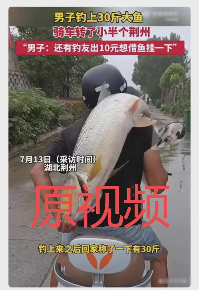捡不完的鱼？宜宾屏山涨水，现场……-2.jpg