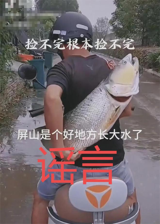 捡不完的鱼？宜宾屏山涨水，现场……-3.jpg