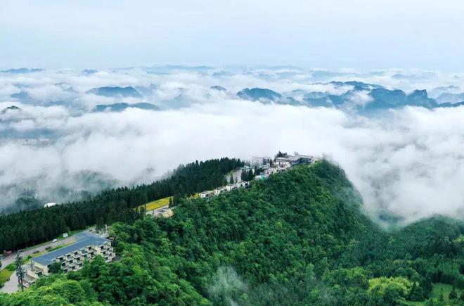 免费！半价！涉及宜宾这些景区，还有......-6.jpg