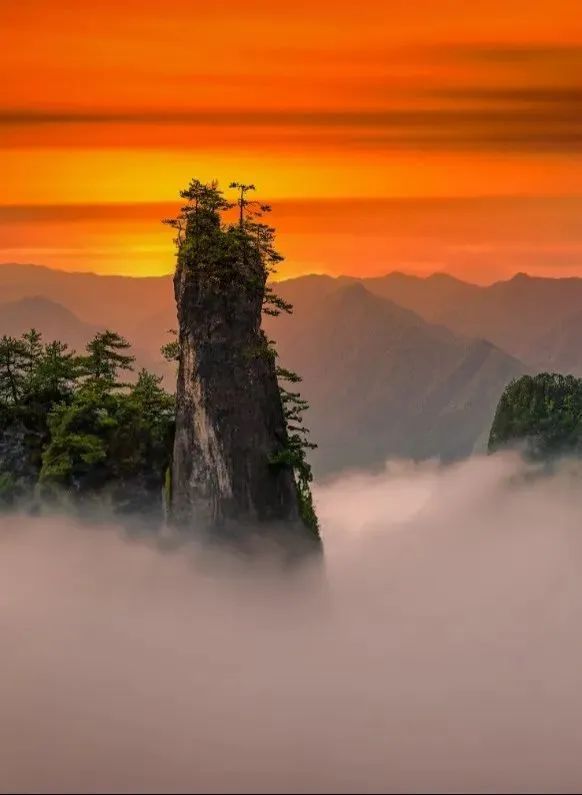 免费！半价！涉及宜宾这些景区，还有......-15.jpg