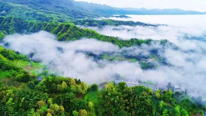 免费！半价！涉及宜宾这些景区，还有......-16.jpg