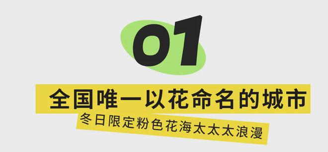 宜攀高速明年通车！旅游攻略来了，这些景点、美食必打卡......-2.jpg