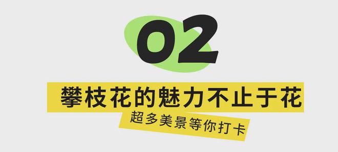 宜攀高速明年通车！旅游攻略来了，这些景点、美食必打卡......-28.jpg