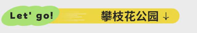 宜攀高速明年通车！旅游攻略来了，这些景点、美食必打卡......-40.jpg