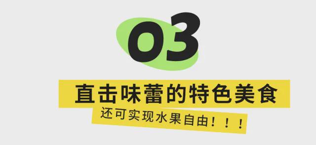 宜攀高速明年通车！旅游攻略来了，这些景点、美食必打卡......-47.jpg