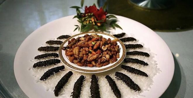 宜攀高速明年通车！旅游攻略来了，这些景点、美食必打卡......-53.jpg