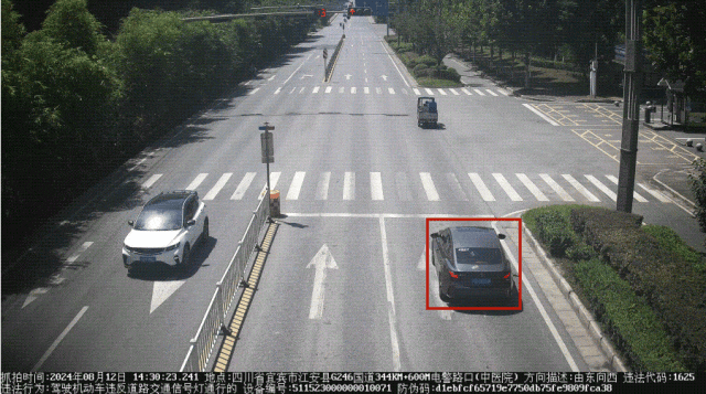 曝光！宜宾这18辆车闯红灯！-8.gif