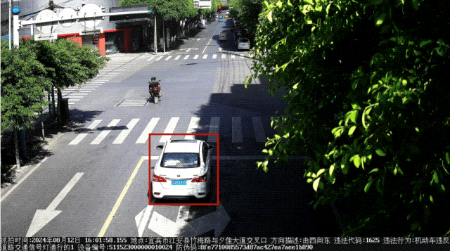 曝光！宜宾这18辆车闯红灯！-5.gif