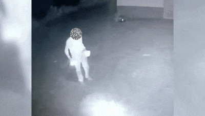 宜宾一宠物狗被毒死，凶手竟是因为......-2.gif